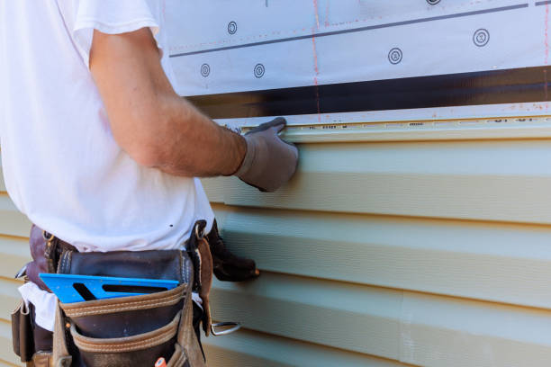 Best Fascia and Soffit Installation  in Thornton, CO